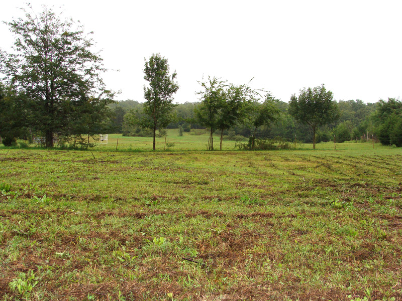 14 acre Farm In Alderson Oklahoma For Sale
